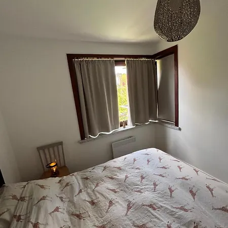 Cozy 1-bedroom Near The In T59 Апартаменти *